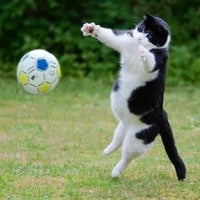 karaman hali saha futbol stadyumu