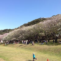 Photo taken at 走水水源地駐車場 by Kenichi Y. on 4/5/2014