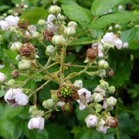 Photo taken at Stockley Park (East) by Daniel ダニエル on 6/13/2019