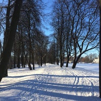 Photo taken at Kirov Central Park / Yelagin Island by Veronika T. on 2/9/2015