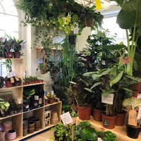 Photo taken at Root Houseplants by Root Houseplants on 4/28/2020