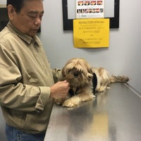 hot spots under dogs armpits