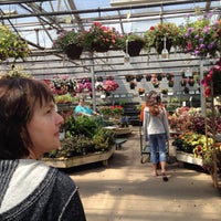 Bachman S Garden Center Bachman S Garden Center