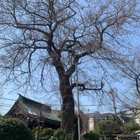 Photo taken at 東光山 妙法寺 by Nonkun on 3/17/2024