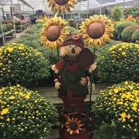 Pike Nurseries Garden Center In Peachtree City