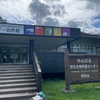 Photo taken at やんばる野生生物保護センター ウフギー自然館 by ymmr on 11/6/2022