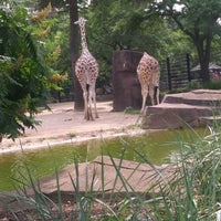 Photo taken at MillerCoors Giraffe Experience by Amy J. on 7/8/2019