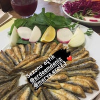 okan balik evi restaurant in meclis