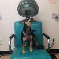 Photo taken at Bow Wow Beauty Shoppe by Wendy H. on 7/30/2014