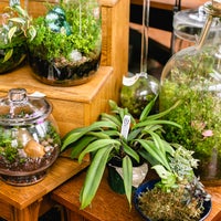 Photo taken at Roosevelt&amp;#39;s Terrariums by Roosevelt&amp;#39;s Terrariums on 4/24/2018