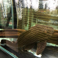 コーナン 灘大石川店 灘区 640 Ziyaretcidan 1 Tavsiye