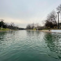 Photo taken at Barton Springs Pool by Jane L. on 2/10/2024