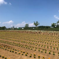 ひるがの高原 牧歌の里 高鷲町鷲見2756 2