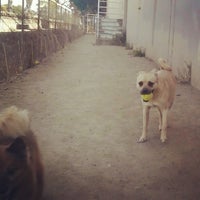 Photo taken at TBWA\Chiat\Day Dog Park by Marc S. on 9/20/2012