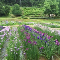 しらさぎ森林公園 Playground