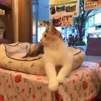 Photo taken at 犬猫人 by yaaaaa s. on 8/31/2018