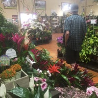 Photo taken at Armstrong Garden Centers by Nikki on 6/23/2017