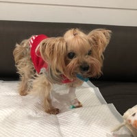 Photo taken at Thonglor Pet Hospital by Worarot on 6/20/2018