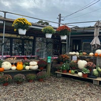 Photo taken at Serene Green Farm Stand by Barb L. on 10/21/2023