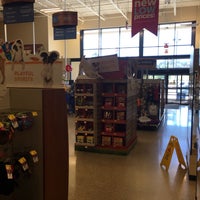 good small to medium family dogs