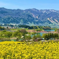 飯山市菜の花公園 飯山市 3 Tips From 281 Visitors