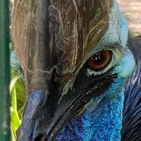 Photo taken at Adelaide Zoo by Spatial Media on 3/2/2021