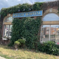 Bay cat sales dog hospital