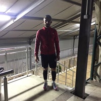 olimpia hali saha 2 tips