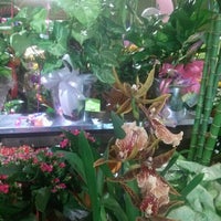 H E B New Braunfels Tx