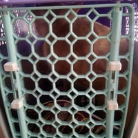 Jabatan Perkhidmatan Veterinar Negeri Perak - Klinik Haiwan