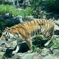 Photo taken at Henry Doorly Zoo and Aquarium by Ryan W. on 7/12/2023