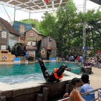 Photo taken at Sea Lion Show by Jirapat N. on 5/14/2022