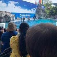 Photo taken at Dolphin Show by Jirapat N. on 10/14/2022