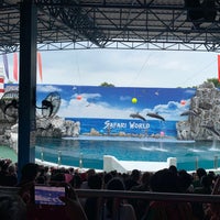 Photo taken at Dolphin Show by Jirapat N. on 5/14/2022