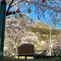 Photo taken at 函館公園 by はーたん D. on 4/22/2023