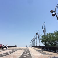 さくら大橋 江東区 江戸川区の橋
