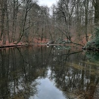 Photo taken at Park Sonsbeek by Marius d. on 12/26/2020