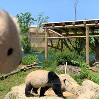 Photo taken at Ueno Zoo by ひとみ さ. on 5/17/2024
