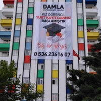 keçi çiftleşmesi izle hd sex videoları