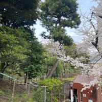 Photo taken at Nogi-jinja Shrine by Shige S. on 4/6/2024