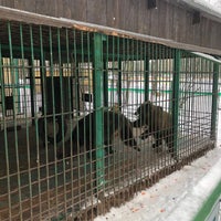 Photo taken at Костромской зоопарк by Malder4eg . on 1/7/2021