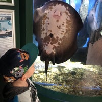 Photo taken at Oceanarium, The Bournemouth Aquarium by Beata S. on 9/28/2022