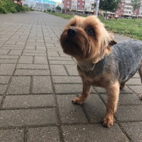 Photo taken at Площадка для выгула собак by Sandra🍑 S. on 7/1/2018