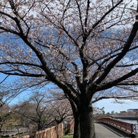 Photo taken at 荒子川公園 by Elly v. on 3/27/2022
