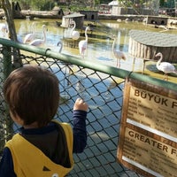Das Foto wurde bei Piknik Park Polonezköy Petting Zoo von Esra D. am 4/16/2016 aufgenommen