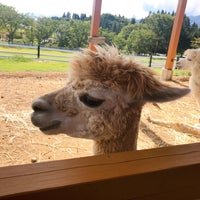 ひるがの高原 牧歌の里 高鷲町鷲見2756 2 ひるがの高原 牧歌の里 高鷲町鷲見2756 2