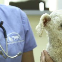 Photo taken at Ravenna Animal Hospital by Ravenna Animal Hospital on 11/16/2014