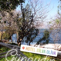 Foto diambil di Silva Oliva Hotel &amp;amp; Farm oleh Ayşe Ö. pada 4/1/2019