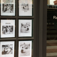 5/11/2014にRafflecopter HQsがRafflecopter HQsで撮った写真