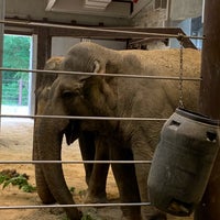Photo taken at Elephant House by Mike D. on 6/9/2019